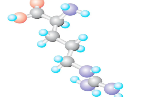 Amino acid and protein differences
