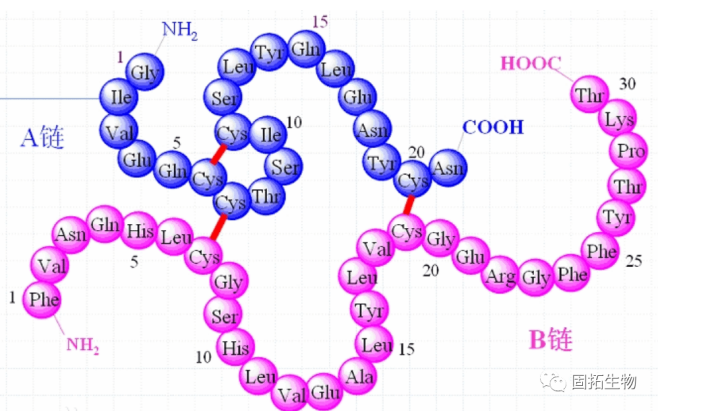 An overview of disulfide bonds in chemistry and biology