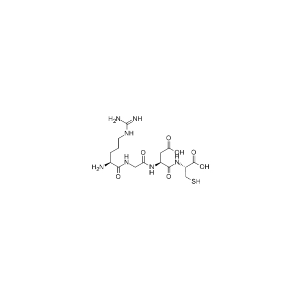 Arg-Gly-Asp-Cys/109292-46-8/GT Peptide/Peptide Supplier
