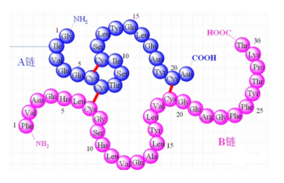 The problem of disulfide bonds within peptides