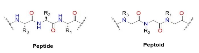 Analysis of peptide-like synthesis techniques