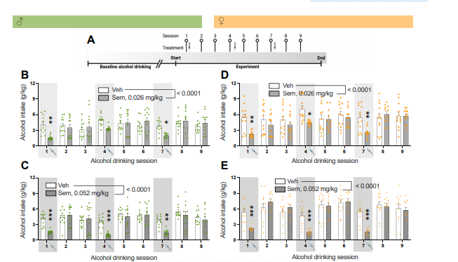 The diabetes drug somallutide may reduce alcohol consumption by half