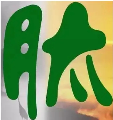 Green and sustainable peptide synthesis industry