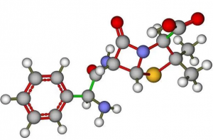Antimicrobial peptides — the “superior” brother of antibiotics