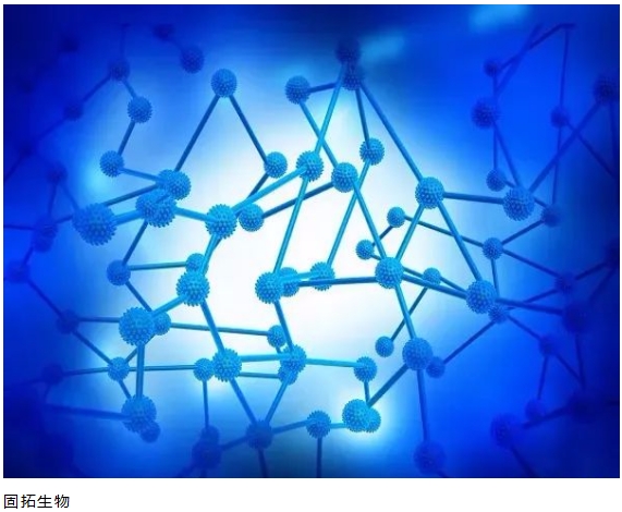 What is the orientation of the artificially customized peptides? These points do you know?