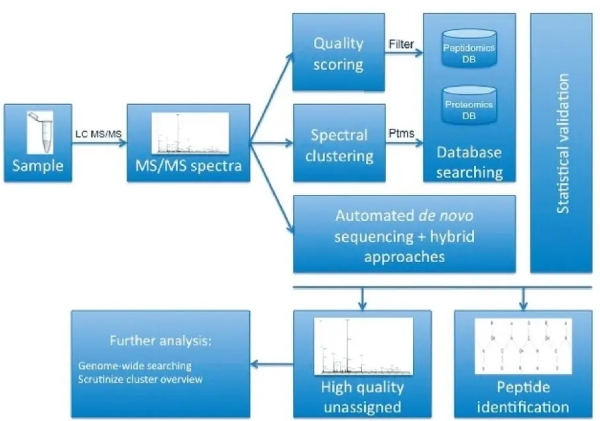 Further exploration of PeptideMassSpectrometry
