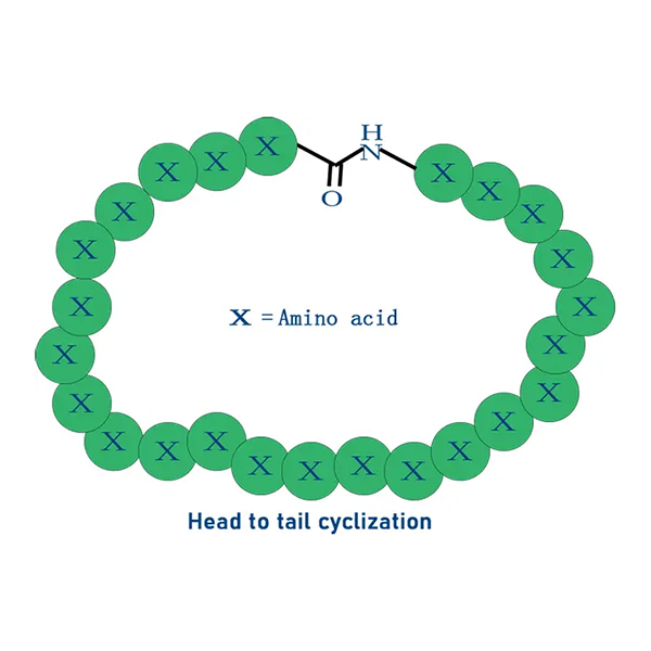 Synthetic Peptides and Recombinant Proteins Acting Separately as Antigens
