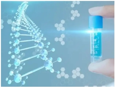 Peptide drugs open up a new opportunity in the field of anti-infection