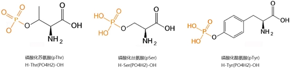 A brief introduction to the phosphorylation labeling technique 