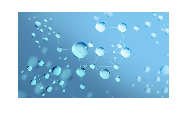 An overview of cell culture
