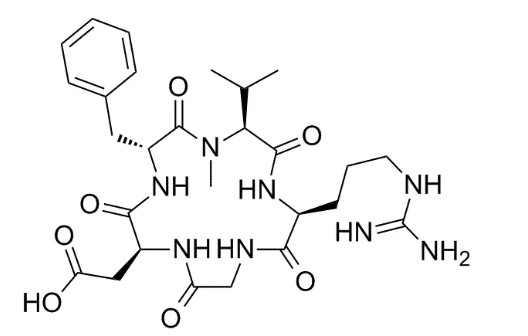 The efficacy and function of cilengitide