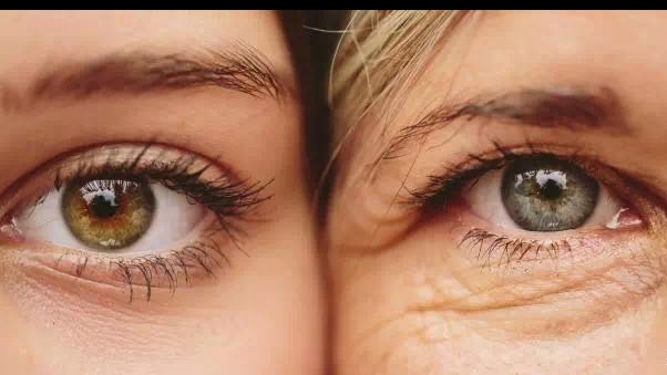 The effects of compound eye beauty peptide on the eyes