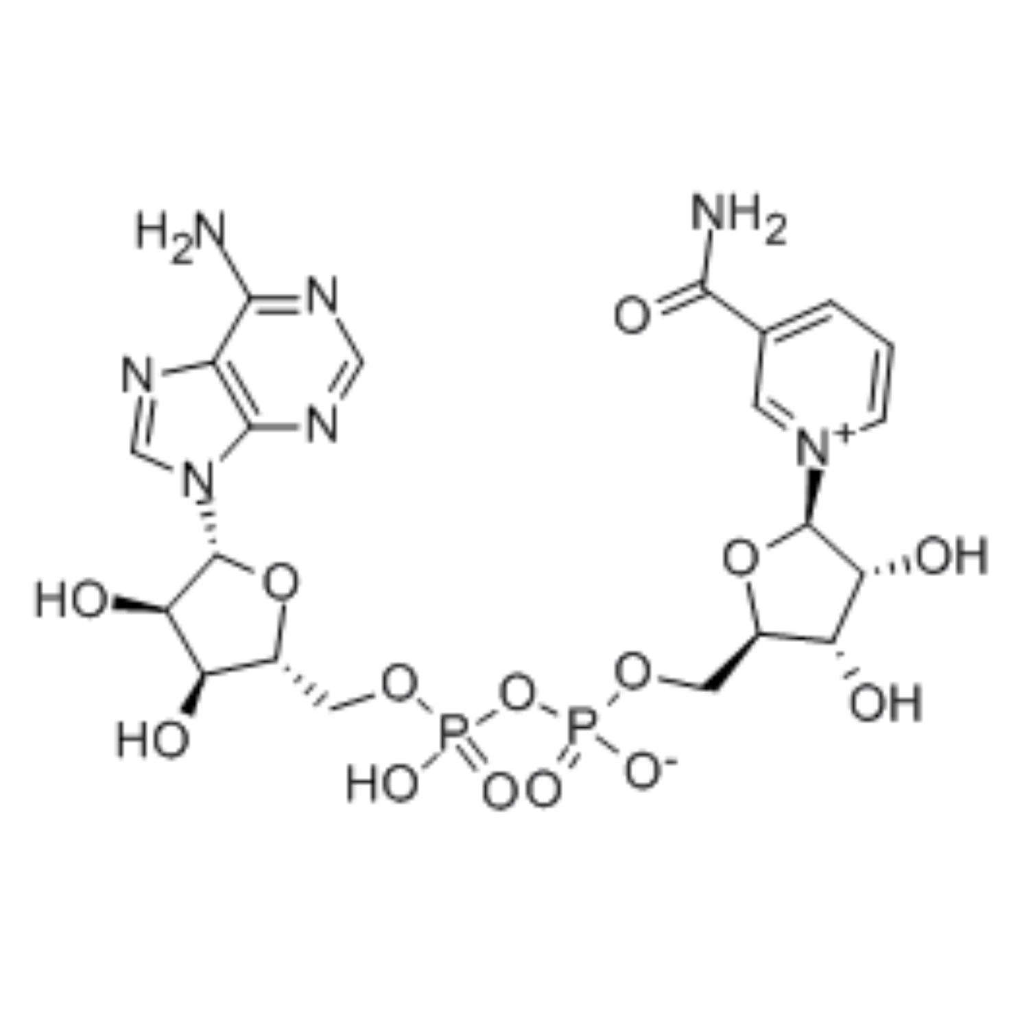 β-Nicotinamide adenine dinucleotide/53-84-9/Peptide detection