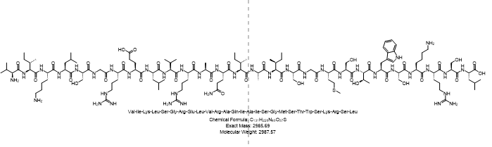 B7-33,(B7-33)H2,B7-33 relaxin