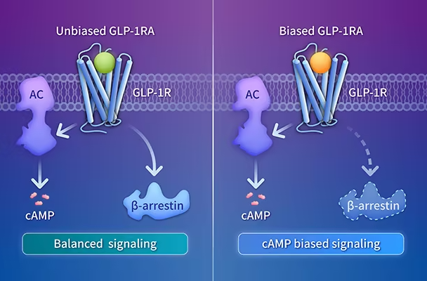 A new generation of biased GLP-1RA drugs! Enoglutide brings new treatment for obesity