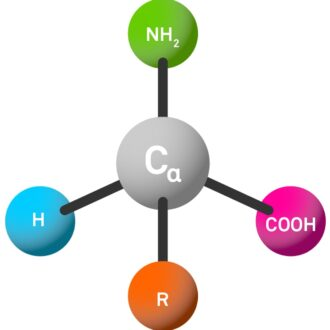 Introduction to amino acids