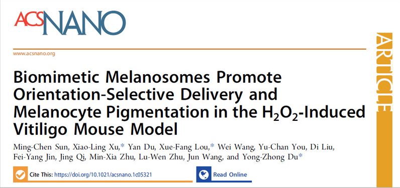 New Breakthrough in Vitiligo Treatment! KPV Tripeptide Biomimetic Synergistic Strategy Offers New Hope for Pigmentation Restoration