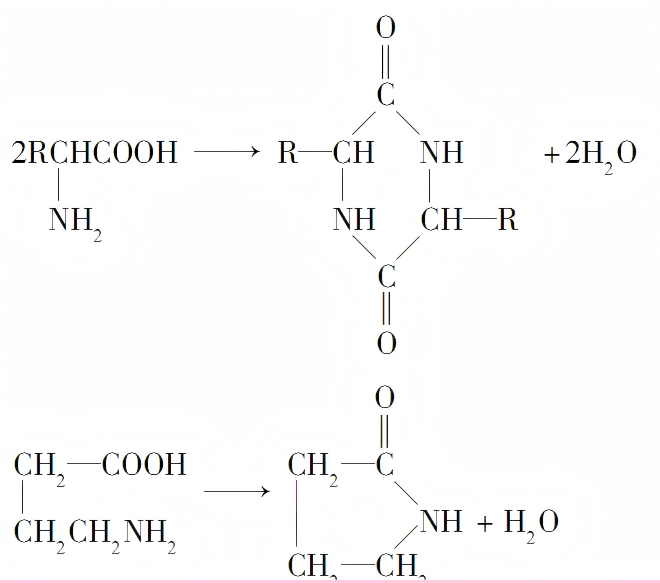 Synthetic Pathway of Polypeptides and Proteins in Amino Acid Dehydration Condensation