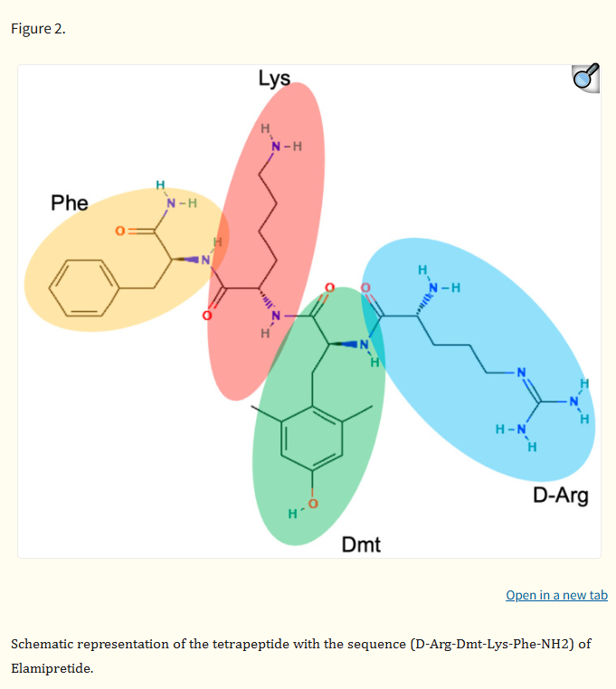 Elamipretide-2 Elamipretide-2