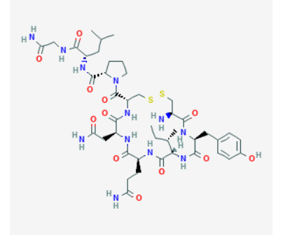 OxytocinImage1-Ca3WjTha OxytocinImage1-Ca3WjTha
