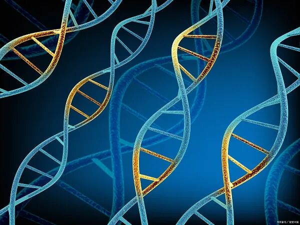 How to Construct Random Polypeptide Library? Eight Methods of Constructing Random Polypeptide Library